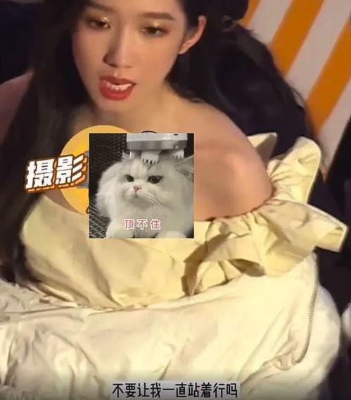 崔雪梨天涯圈内人爆料,揭秘娱乐圈不为人知的真相